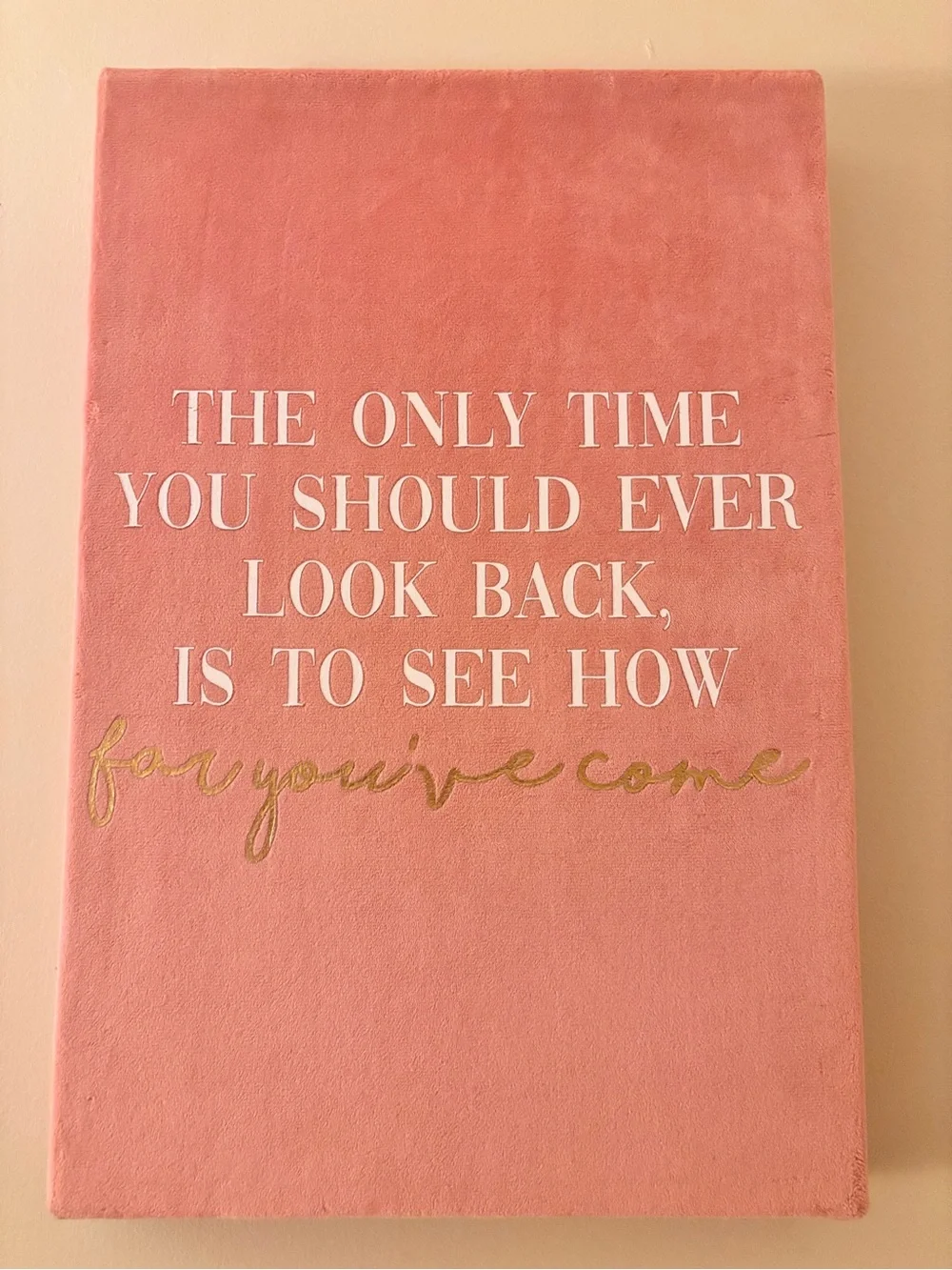 Pink Inspirational Wall Art Canvas with Gold Script